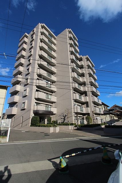 現地写真