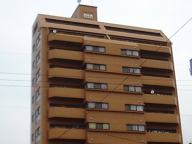 ダイアパレス上之町 現地写真